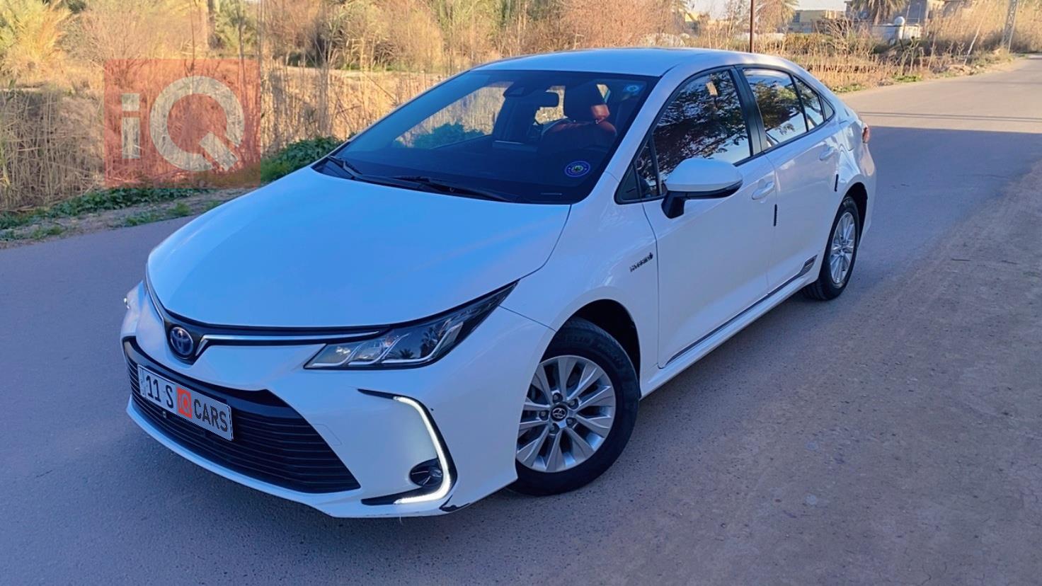 تويوتا كورولا